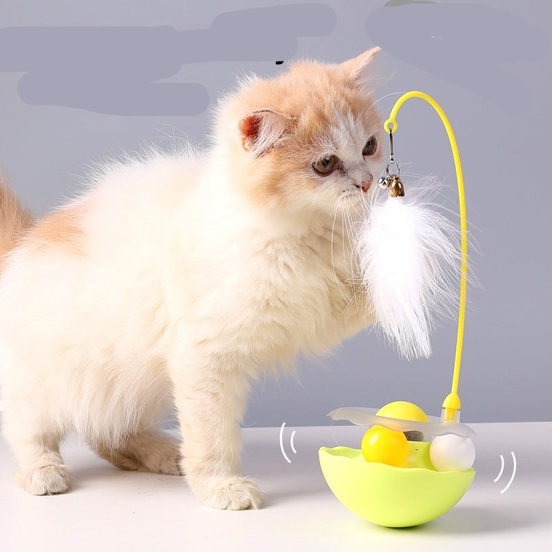 Cat playing with a roly-poly cat teaser toy on a light gray background