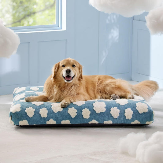 Dog lying on a blue pet bed with white cloud pattern in a room with light blue walls and large windows.