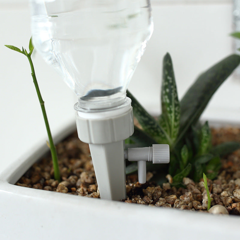 Plants growing in a container with a small water pump system.