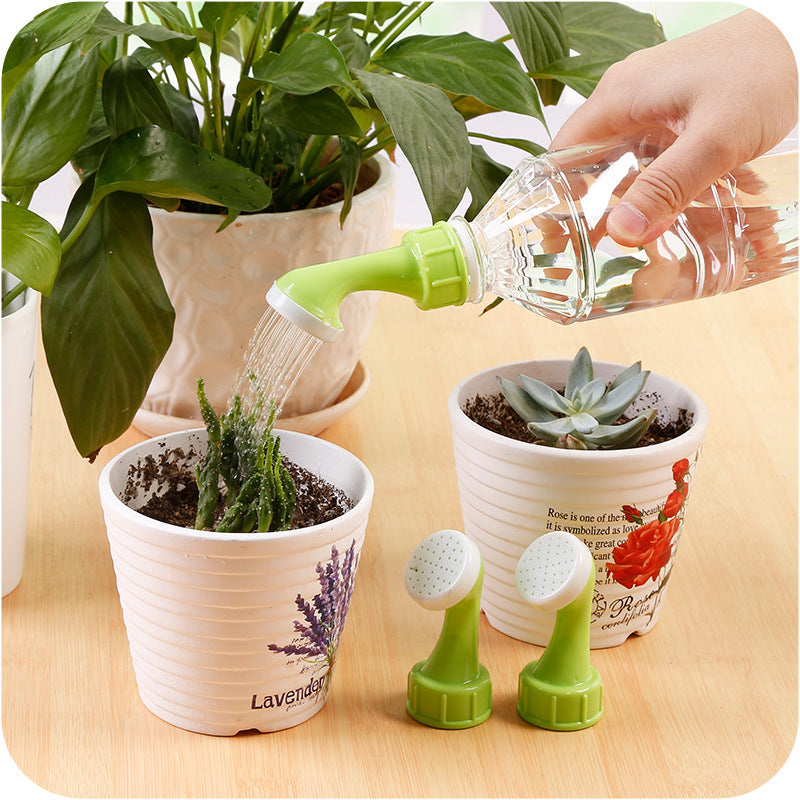 Person watering a plant with a green watering can on a wooden surface