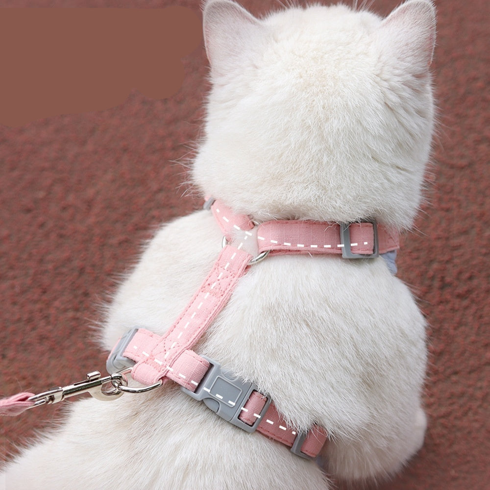 White cat wearing a pink harness on a brown background