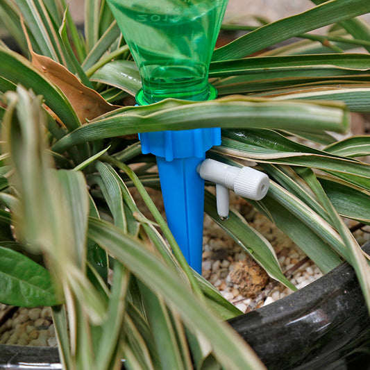 Green and blue plant watering device on a plant with gravel in the background