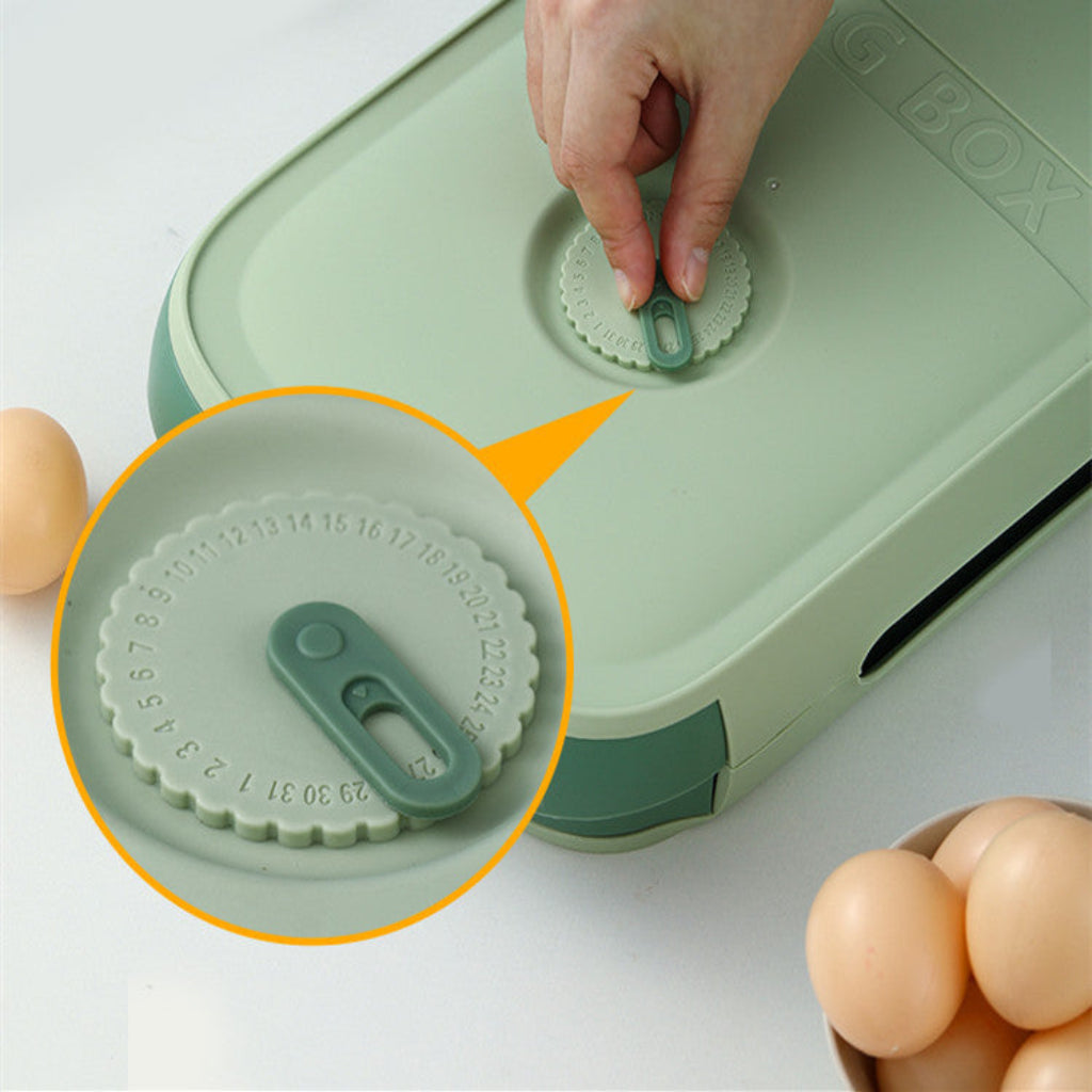 Green egg carton with a hand placing an egg into it, surrounded by eggs on a light background.