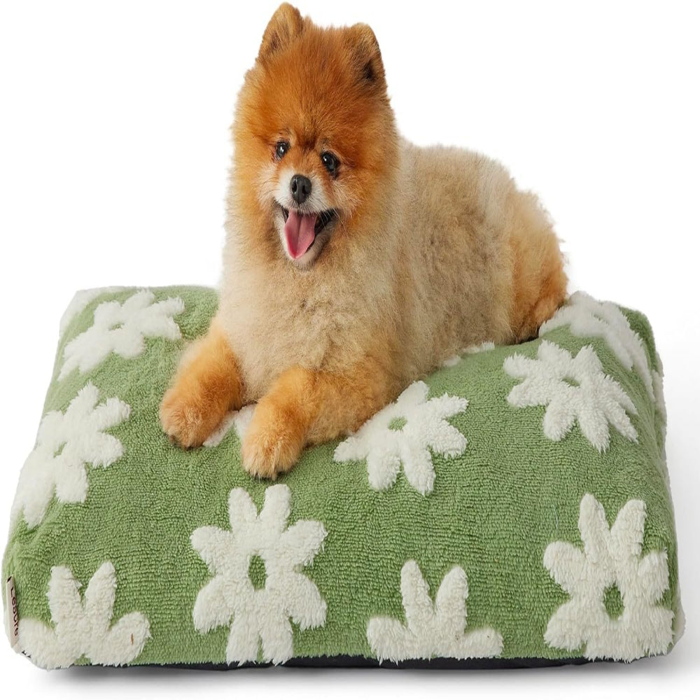 Small dog lying on a green floral-patterned pet bed
