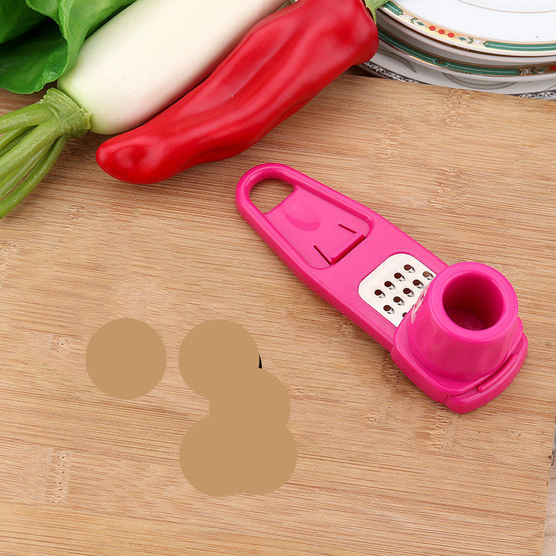Kitchen Gadget Garlic Masher Seasoning Grinder