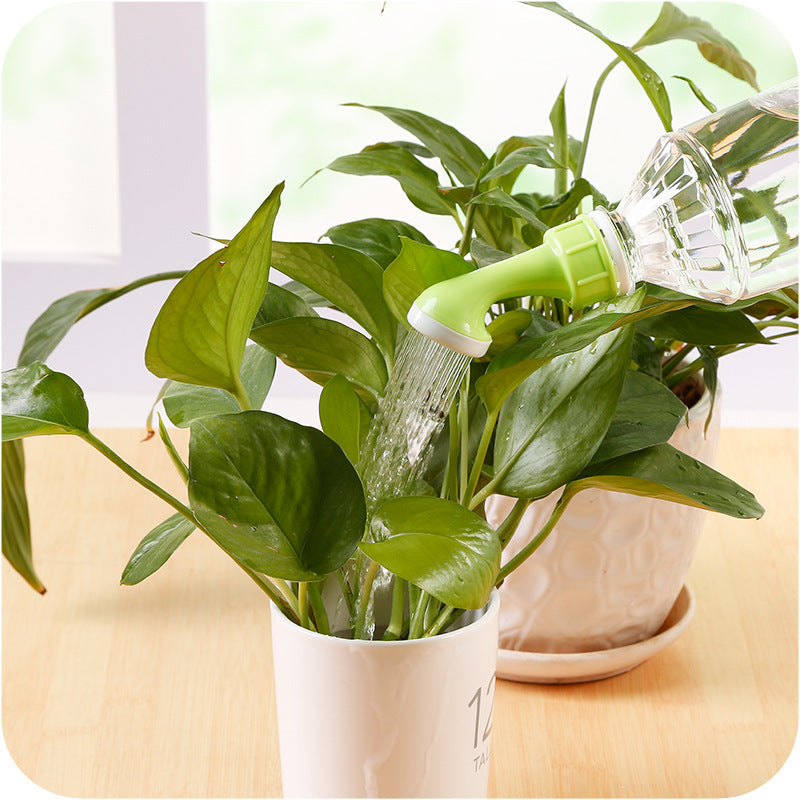 Person watering a potted plant with a green watering can on a wooden surface.
