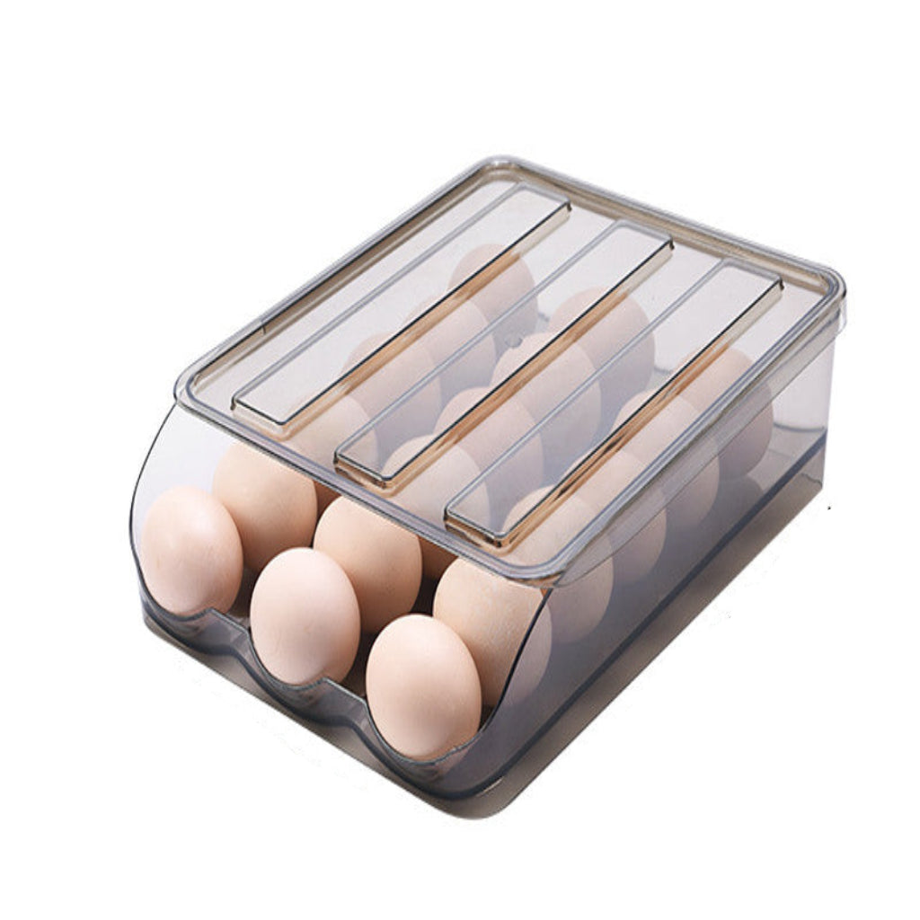 Egg holder with eggs inside, showing dimensions on a white background
