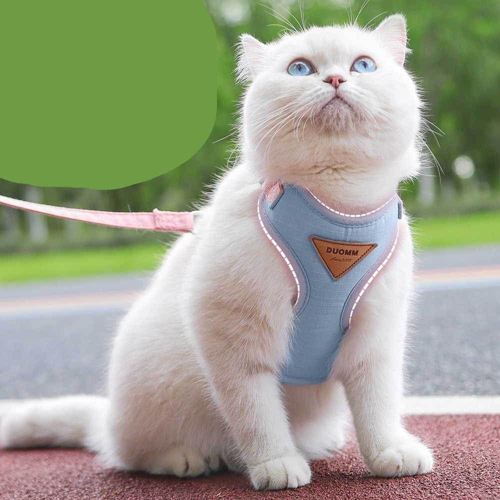 Cat wearing a blue harness with text about its design and benefits