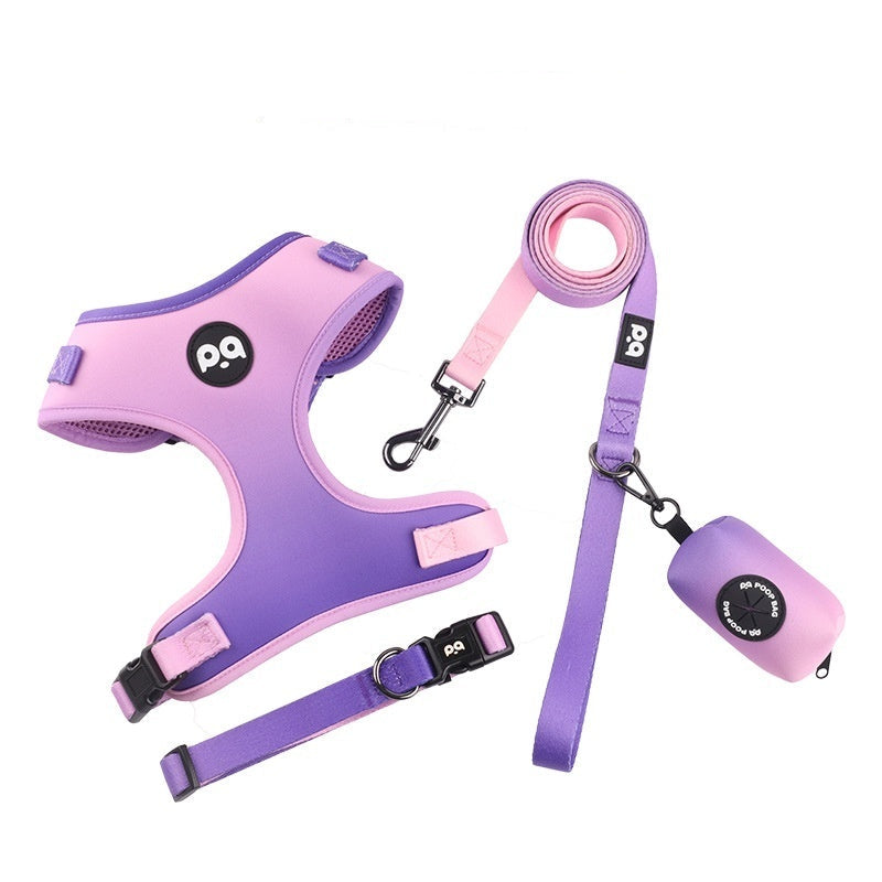 Pink and purple gradient dog harness, leash, and collar set on a white background