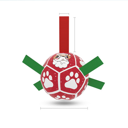 Interactive Dog Football Toy – Inflated Training Soccer Ball for Pets