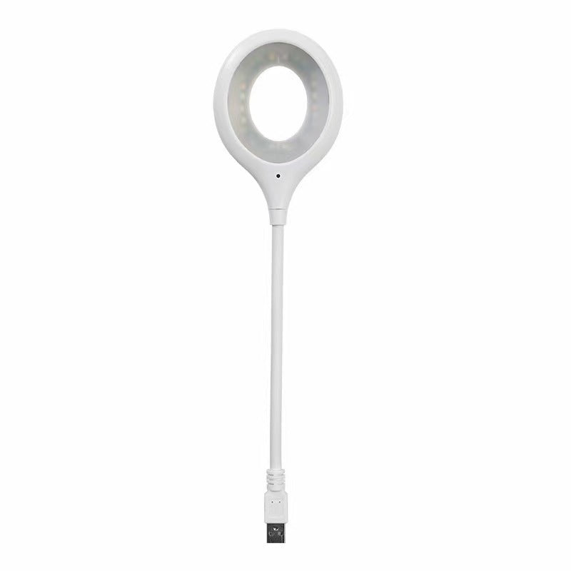 White lamp with a round light bulb on a white background