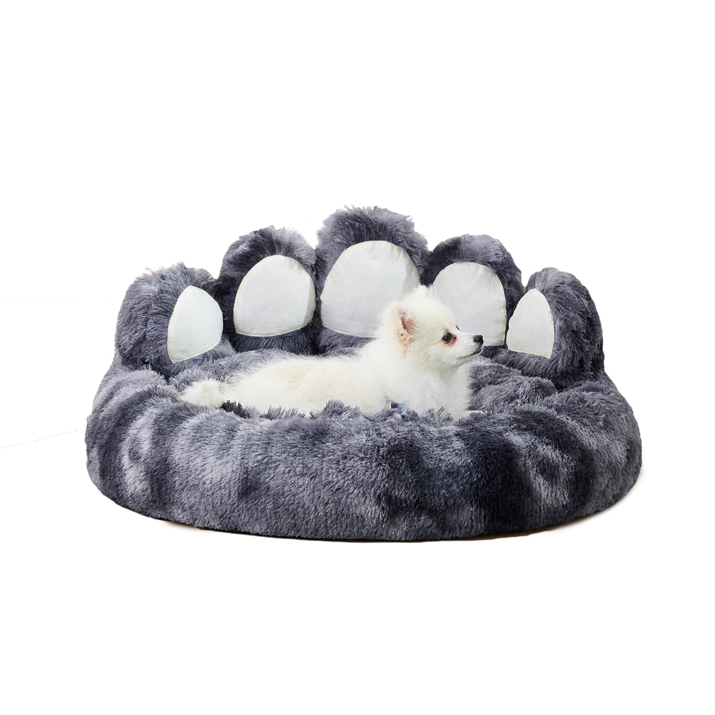 Gray paw-shaped pet bed with a small white dog inside on a white background