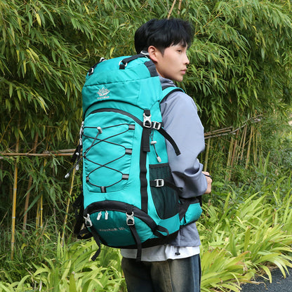 Person wearing a large teal backpack in a natural setting with greenery.