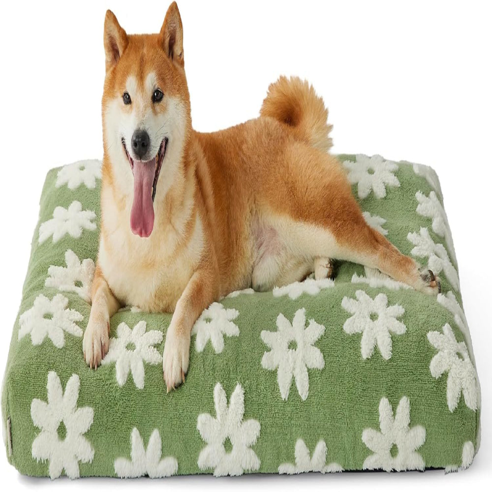 Dog lying on a green floral-patterned pet bed