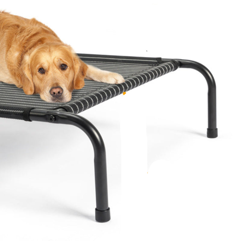 Dog lying on a elevated pet bed with features highlighted on a white background