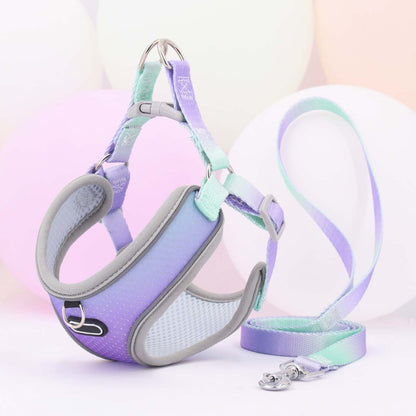 Pet Clothes Hand-Holding Rope Out Dog Chest Strap – Solid Color Walking Set
