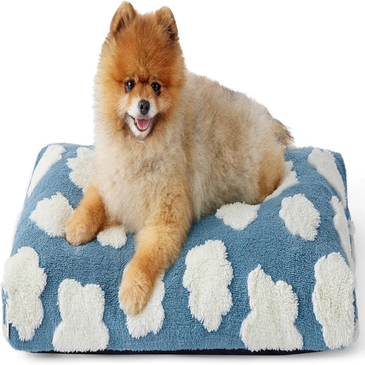 Small dog lying on a blue pet bed with white paw prints