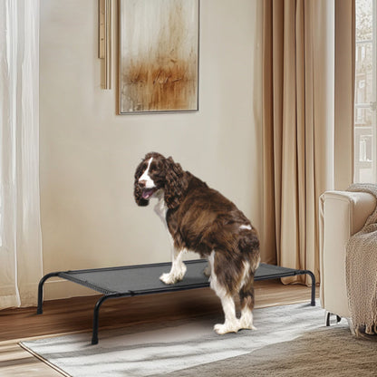 Dog standing on a elevated pet bed in a living room.