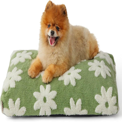 Small dog lying on a green floral-patterned pet bed