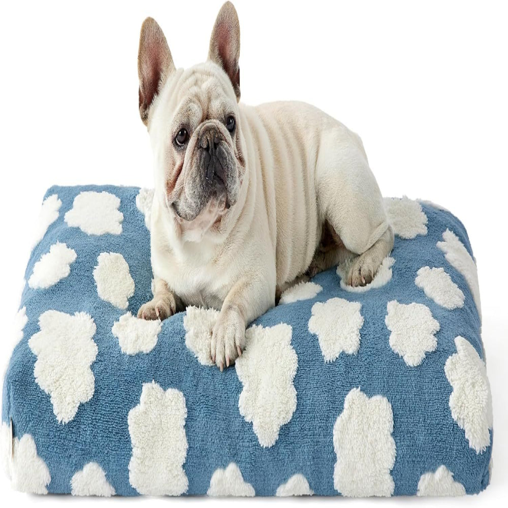 Dog lying on a blue and white cloud-patterned mat