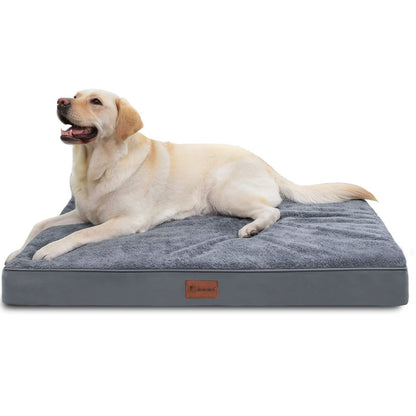 Dog lying on a gray pet bed with a white background