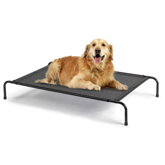 Dog lying on a elevated pet bed with a white background