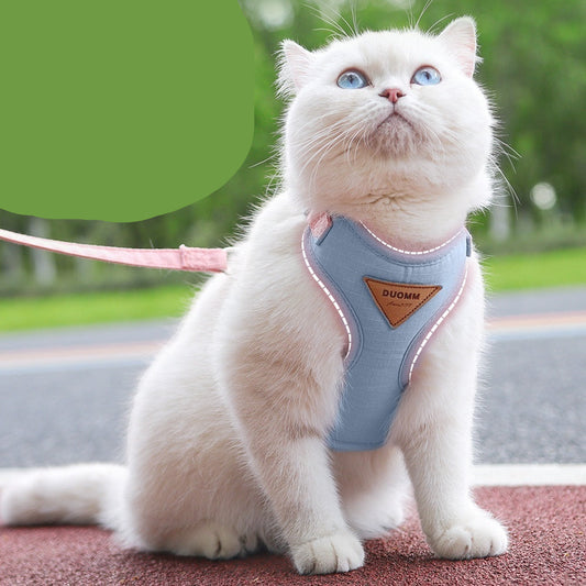 Cat wearing a blue harness with text about its design and benefits