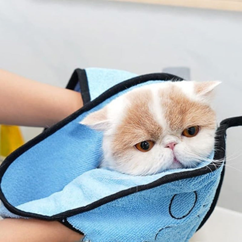 Cat peeking out from a blue pet grooming glove with a blurred background