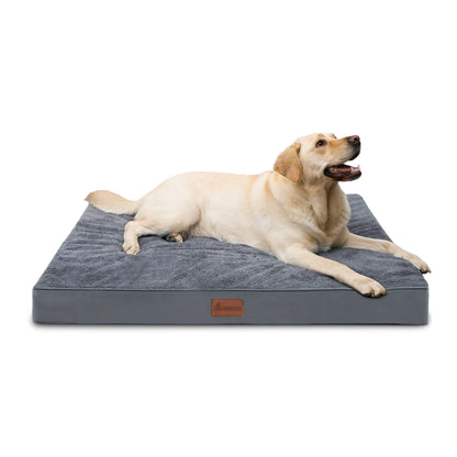 Dog lying on a gray dog bed with a white background