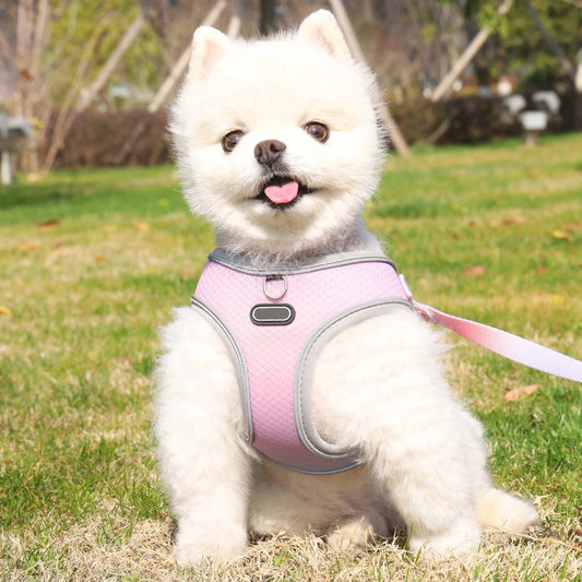 Pet Clothes Hand-Holding Rope Out Dog Chest Strap – Solid Color Walking Set