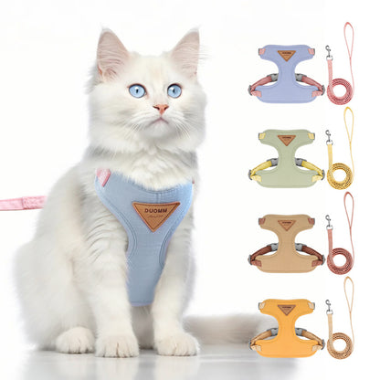 Cat wearing a blue harness with various color options and leashes displayed on a white background