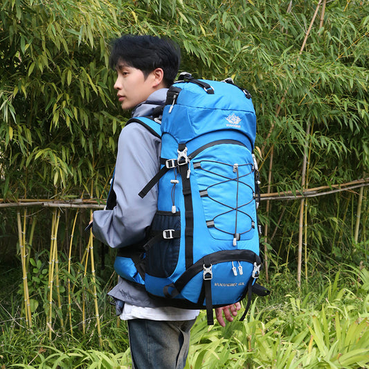 Person wearing a large blue backpack in a natural setting with greenery.