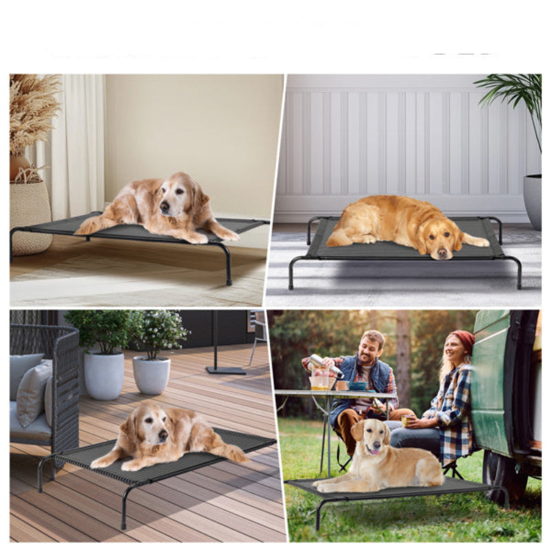 Dog lying on an elevated dog bed in various settings