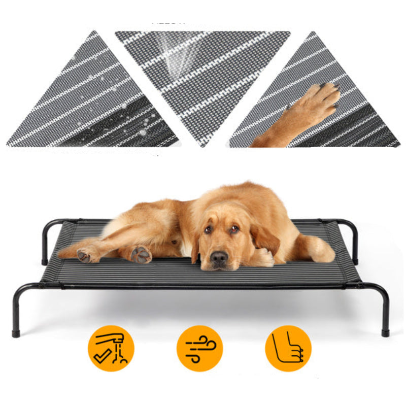 Dog lying on a mesh pet bed with features highlighted on a white background