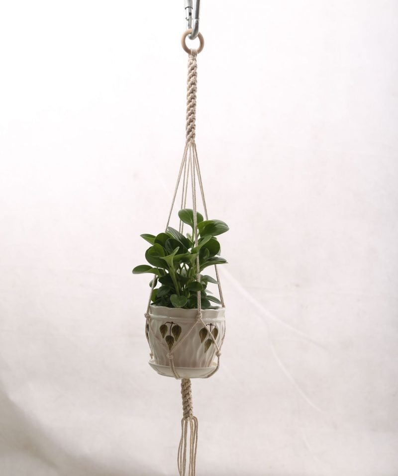 Handmade Plant Hanger For Wall - Image 3