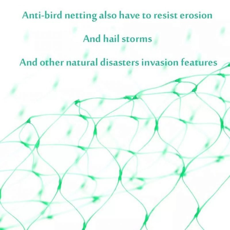 Durable Green Garden Bird Net Plastic Net - Image 4