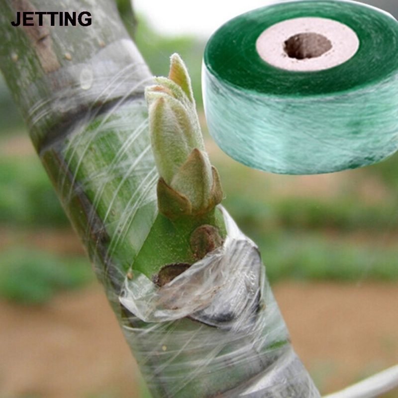 2CM x 100M / 1 Roll Grafting Tape Garden Tools Fruit Trees Secateurs Graft Branch Gardening bind belt PVC Tie Tape - Image 5