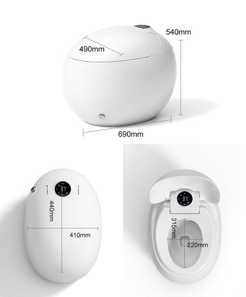 Modern Egg shaped smart Toilet commode 0041-size